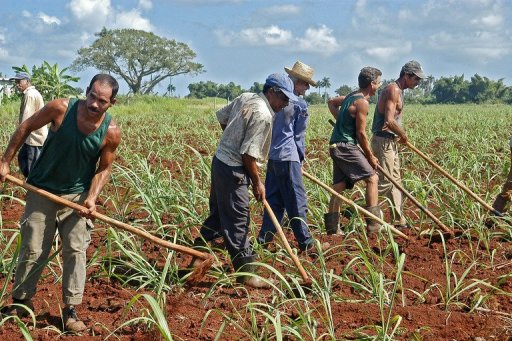Cuba abre la industria azucarera a la inversión extranjera