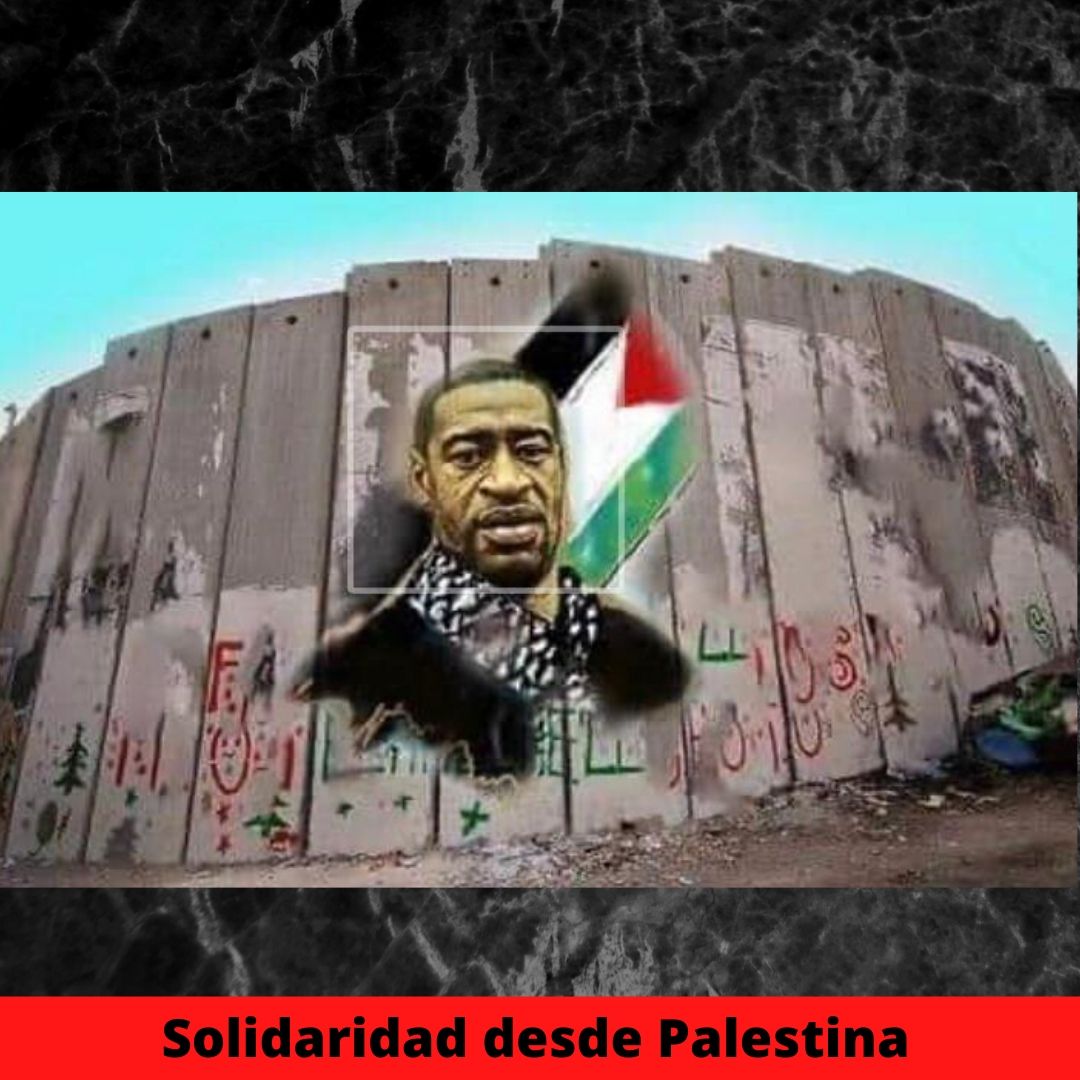 solidaridad desde palestina