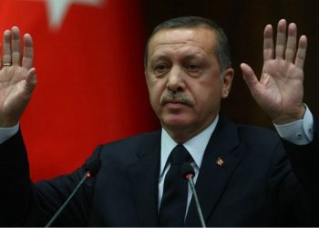 Los responsables de las muertes y del clima de represión y violencia son Erdogan y su gobierno. En frente de tal situación llamamos a los trabajadores y a la juventud a la solidaridad con el pueblo kurdo. ¡Basta ya de las operaciones militares y la opresión política contra el movimiento kurdo!