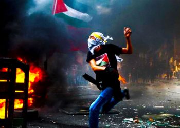 palestina-movilizaciones-piedras