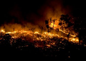 744c9d84-gp01jwe medium res