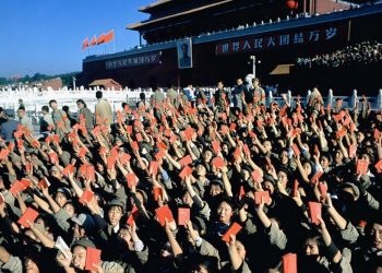 ac8f8bbad7010ba0199dff4cd219ea29 XL