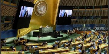 c243ecd37382bf3a5d9c7bcaad009c6d XL