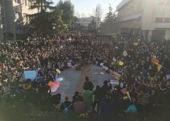 WhatsApp Image 2021-01-07 at 14.29.16