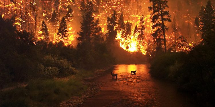The catastrophe threatening us and how to fight it