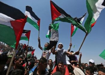 Canción a Palestinauschwitz y sus ecos