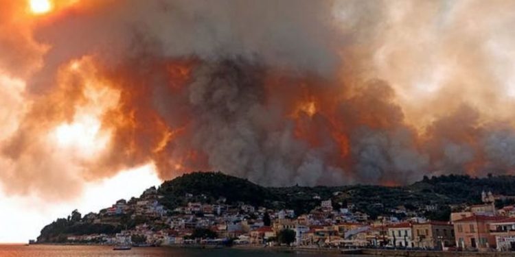 FOREST FIRES HERALD MAJOR CATASTROPHES