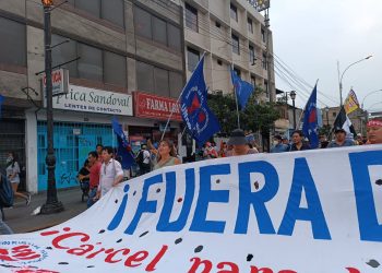 En Lima: la diputada Mónica Schlotthauer en apoyo a la lucha del pueblo peruano