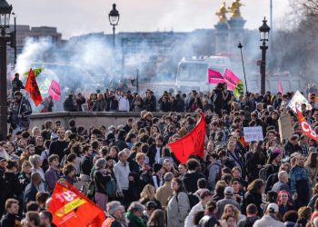 Francia: Abajo el decreto de Macron