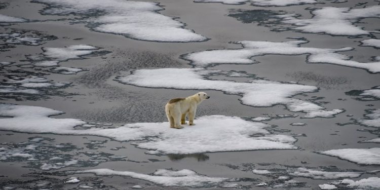 ¿El último gran informe científico antes del caos climático?
