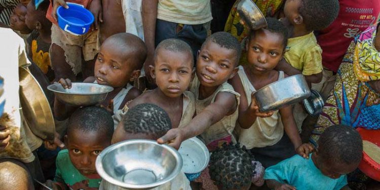 La crisis alimentaria y el dominio de las multinacionales de los alimentos y su distribución