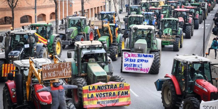 En Francia, la cólera de los agricultores no cesa