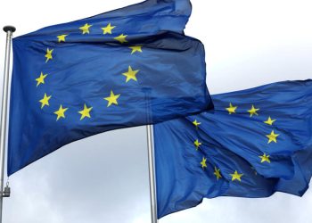 Los socialistas revolucionarios ante las elecciones europeas