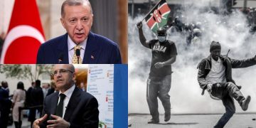 The tax packages of the Palace and lessons from Kenya