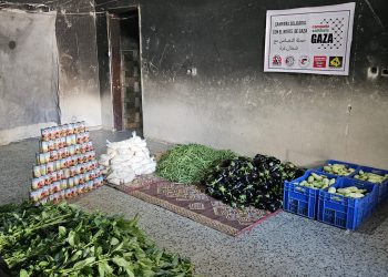 Nuevo envío de ayuda a Gaza