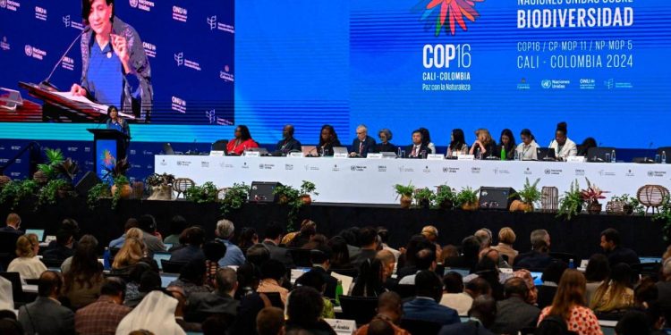 Colombia: Por una agenda anticapitalista ante la COP16