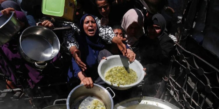 Palestina: Marcha a Gaza en junio 2025