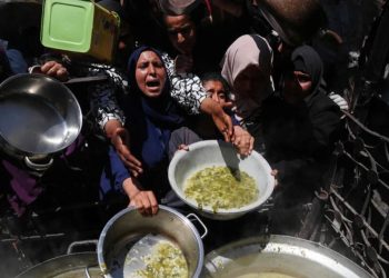 Palestina: Marcha a Gaza en junio 2025