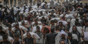 ONG israelíes acusan por primera vez a Israel de cometer un genocidio en Gaza