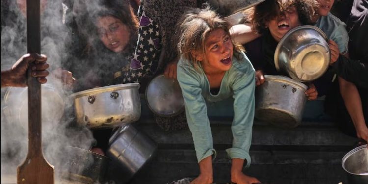 Halte à la famine et au génocide à Gaza! Ouvrez les frontières! Israël, quittez la Palestine!