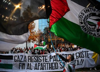 29 de noviembre: ¡A la calle en solidaridad con Palestina!