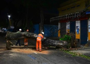 Brasil: ¡Se necesitan medidas urgentes para combatir la catástrofe socioambiental en São Paulo y Río de Janeiro!